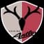 Kashima Antlers