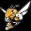 American International